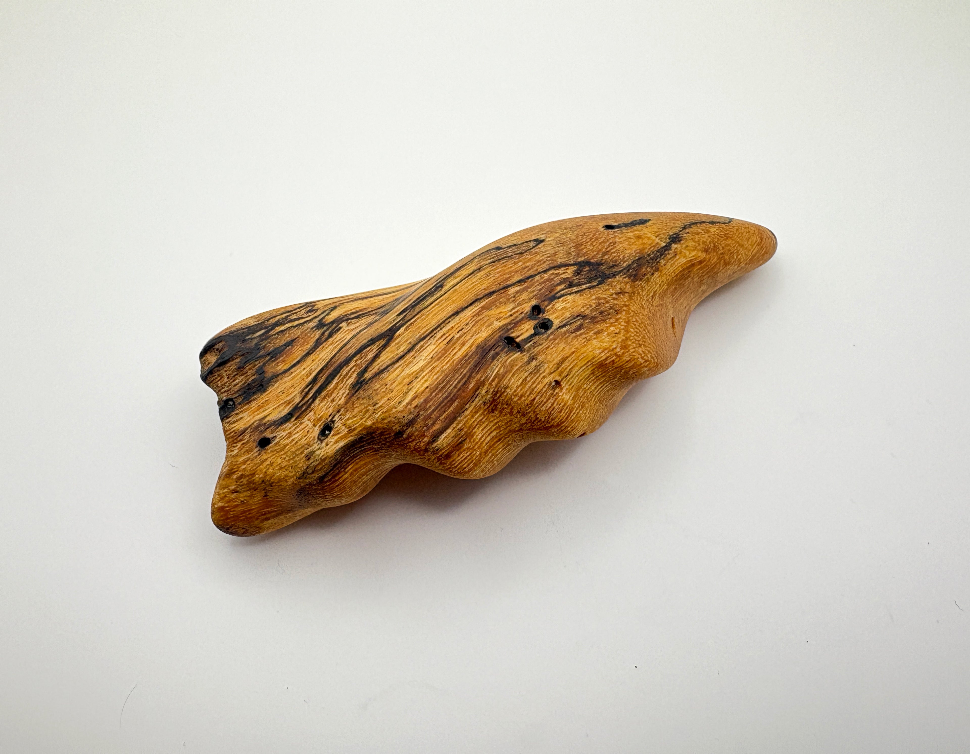 Spalted Tamarind Mollusc Brooch
