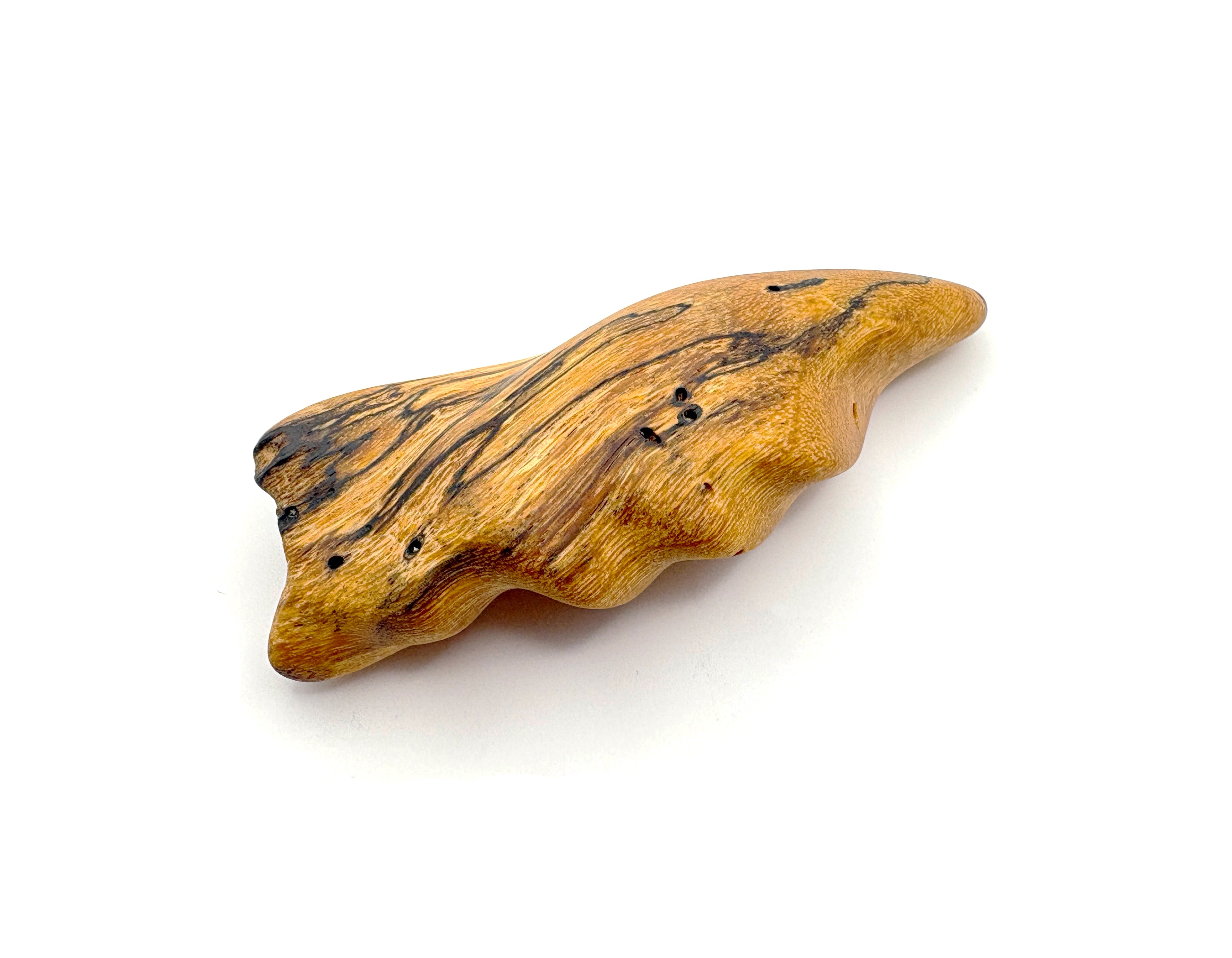 Spalted Tamarind Mollusc Pendant